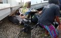 Honda PCX 160 Bikin Ngilu, Tersungkur di Kolong Railbus Batara Kresna, Dikendarai Lansia