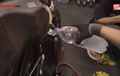 Radiator Motor Diisi Air Keran Bisa Bikin Bocor? Begini Faktanya