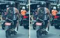 Viral Yamaha V-Ixion Pelat Merah Dipakai WNA di Bali, Kepala Desa Kena Peringatan