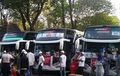 Pendaftar Ganda Mudik Gratis Tembus 1.600 Orang, Kemenhub Buka Registrasi Ulang?