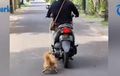 Teganya Emak-emak Satu Ini, Naik Motor Sambil Seret Anjing, Alasannya Bikin Jengkel