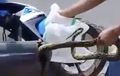 Ular Suka Ngumpet di Bodi Motor, Sering Kejadian Saat Musim Hujan