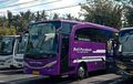 Insting Bak Superhero, Sopir Bus PO Bali Perdana Gagalkan Pencurian Laptop dan iPad