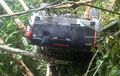 Toyota Hilux Berisi Napi Lapas Manokwari Terjun ke Jurang, Kayang Tersangkut Pepohonan