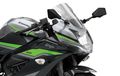 Adik Kawasaki Ninja 250 SL Versi 2024 Meluncur, Iritnya Tembus 37 Km/Liter