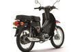 Kembaran Honda Super Cub Ngebet Main Tanah, Harga Tembus Rp 38 Jutaan