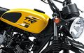 Ini Dia Kawasaki W175 TR Versi 2024, Harga Sama Apa Saja Bedanya?