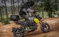 Wujud CFMoto XO Papio Trail, Enggak Kalah Kalcer dari Model Cafe Racer