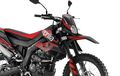 Motor Trail 125 Cc Baru Aprilia Makin Sporty, Performa Nyaingin Kawasaki KLX150