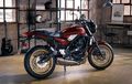 Pakai Mesin Ninja, Ini Wujud Motor Sport Retro Kawasaki Z650RS 2024