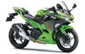 Masih Minat Kawasaki Ninja 250 2-Silinder, Segini Harganya di Mei 2024