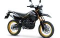 Kawasaki Luncurkan KLX150 dan KLX150SM Terbaru, Ini Bedanya