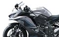 Pakai Warna Silver, Ini Tampilan Premium Kawasaki Ninja ZX-25R SE 2024 di Jepang