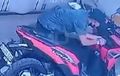 Kunci Setang Bukan Musuh Setara Pria Ini, Honda Vario 125 Pegawai Laundry Ini Buktinya