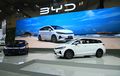 BYD M6 Laris, Targetkan 50 Dealer 3S Sampai Akhir Tahun 2024, Bener?