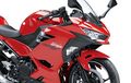 Kawasaki Ninja 250 Model 2025 Tampil Menyala, Segini Harga Barunya