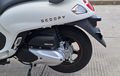 Tidak Sama, Ini Bedanya Mesin Honda Scoopy Baru Dengan Mesin BeAT 