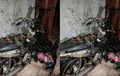 Ditaksir Rugi Rp 9 Jutaan, Rumah Pemilik Honda Supra X 125 Didatangi Polisi dan Damkar
