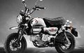 Rayakan Ulang Tahun, Muncul Honda Monkey Kinclong, Bodi Berlapis Full Krom