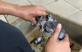 Cegah Mesin Mobil Loyo, Bersihkan Throttle Body Setiap Segini