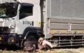 Truk Boks Disesatkan Mbah-mbah Penunjuk Jalan, Tak Bisa Gerak di Hutan Jati Blora