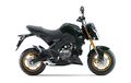 Kawasaki Z125 Pro Tahun 2026: Sekarang Dijual Segini        