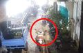 Wajah Terlalu Jelas di CCTV, Maling BeAT di Gang Tumbang Kurang 24 Jam