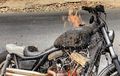 Penyebab Harley-Davidson Tahun Tua Terbakar, Rata-rata Masalah di Sini