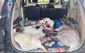 Jelang Idul Adha, 6 Pemuda Kena Pidana Angkut 4 Kambing Pakai Mitsubishi Xpander Sewaan