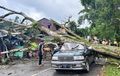 Toyota Kijang Krista Gepeng, Atap Ambles Nempel Jok Ditebas Makhluk Tinggi Tua di Tana Toraja