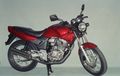 Honda Tiger 2000 Jangan Sampai Telat Ganti Rantai Keteng Jika Tidak Mau Kantong Jebol