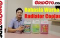 Membongkar Rahasia Warna Radiator Coolant, Ini Video Penjelasannya