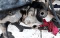 Ternyata Ini Penyebab Engine Mounting Motor Matik Cepat Rusak, Simak