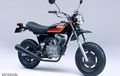 Ape Scrambler Mini Dari Honda, Bentuknya Imut Kapasitasnya  50 dan 100 Cc
