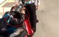 Cek Videonya! Takut Ditilang, Remaja Ini Peluk Motor Sambil Menangis