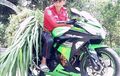 Ini Dia Alasan Pria Kendarai Kawasaki Ninja 250 Untuk Menyabit Rumput
