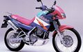 Blast From The Past! Kawasaki KLE250 Anhelo, Engkongnya Versys yang Warnanya Kayak Es Serut!