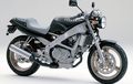 Setujukah Kamu Kalau Honda Tiger Reborn Pakai Mesin Motor Ini?