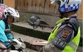Bikin Senyum. Gara-gara STNK, Biker Dibikin Keringetan Total