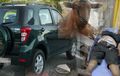 Nyuri Kambing Pakai Daihatsu Terios, Maling Ini Babak Belur Oleh Warga Kampung