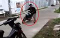 Duh! Pengendara Ini Menuntun Motor Sambil Menyalakan Mesin, Malah Jadi Begini...