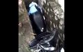 Bikin Sesak Napas, Motor Nyemplung Got Yang Punya Cuma Bisa Ketawa Miris Nyoba Angkat