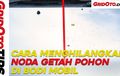 Video Cara Menghilangkan Noda Getah Pohon Di Bodi Mobil