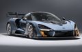 Tak Kesampaian Miliki Mobilnya, Beli Saja Tamiya McLaren Senna, Harganya Cocok untuk Kaum Mending-mending?