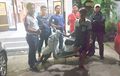 Diintai Sebulan Maling Curanmor Tercyduk. Motornya Dijual Rp 2,3 Juta