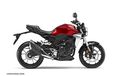 Honda CB300 Tericum Bakal Segera Meluncur,  Pakai Basis Mesin CBR250R Satu Silinder