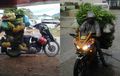 Sering Angkut Barang di Motor Secara Belebihan? Awas Kena Sanksi