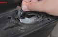 Cara Periksa Cairan Radiator Coolant di Motor, Gampang Banget!