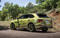 SUV Premium dari Bentley Ini Pecahkan Rekor di Pikes Peak Intenational Hill Climb