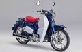 Resmi! Honda Super Cub 125 Bakal Rilis di Bulan Oktober, Spesifikasinya Maknyus Boskuuh...